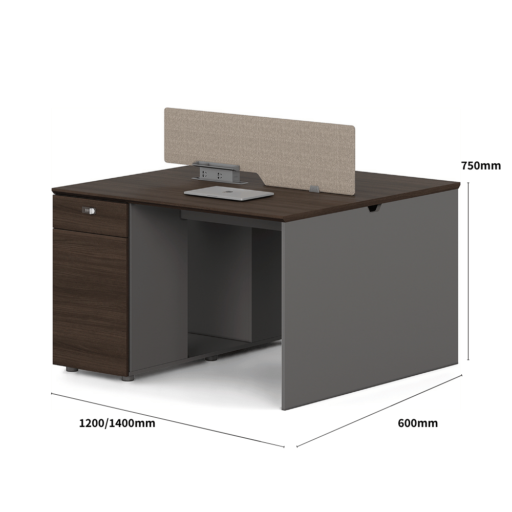 Dawn2-A Wooden Office Desk with Storage Cabinet