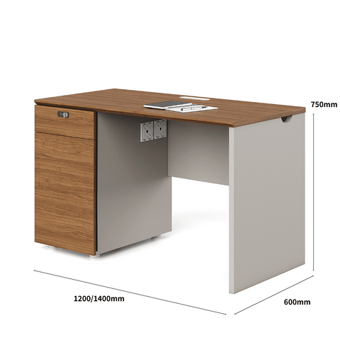 Dawn2-A Wooden Office Desk with Storage Cabinet