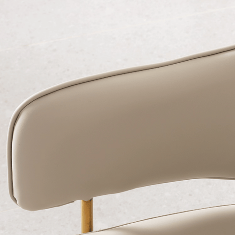 Ellis Modern Luxury Leather Dining Room Side Chair