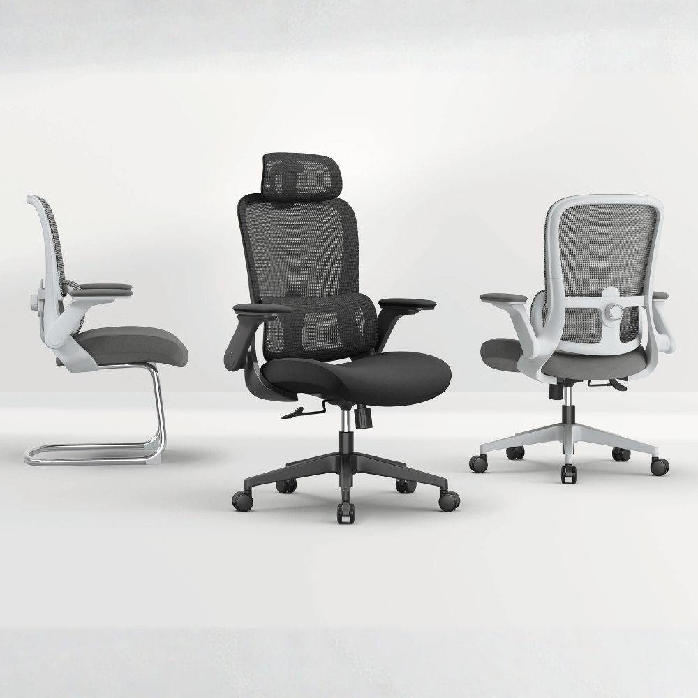 Ergo-M 中背翻轉扶手人體工學電腦椅