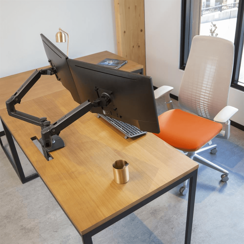 Ergotron LX Dual Side-by-Side Arm - Gavisco Office Furniture