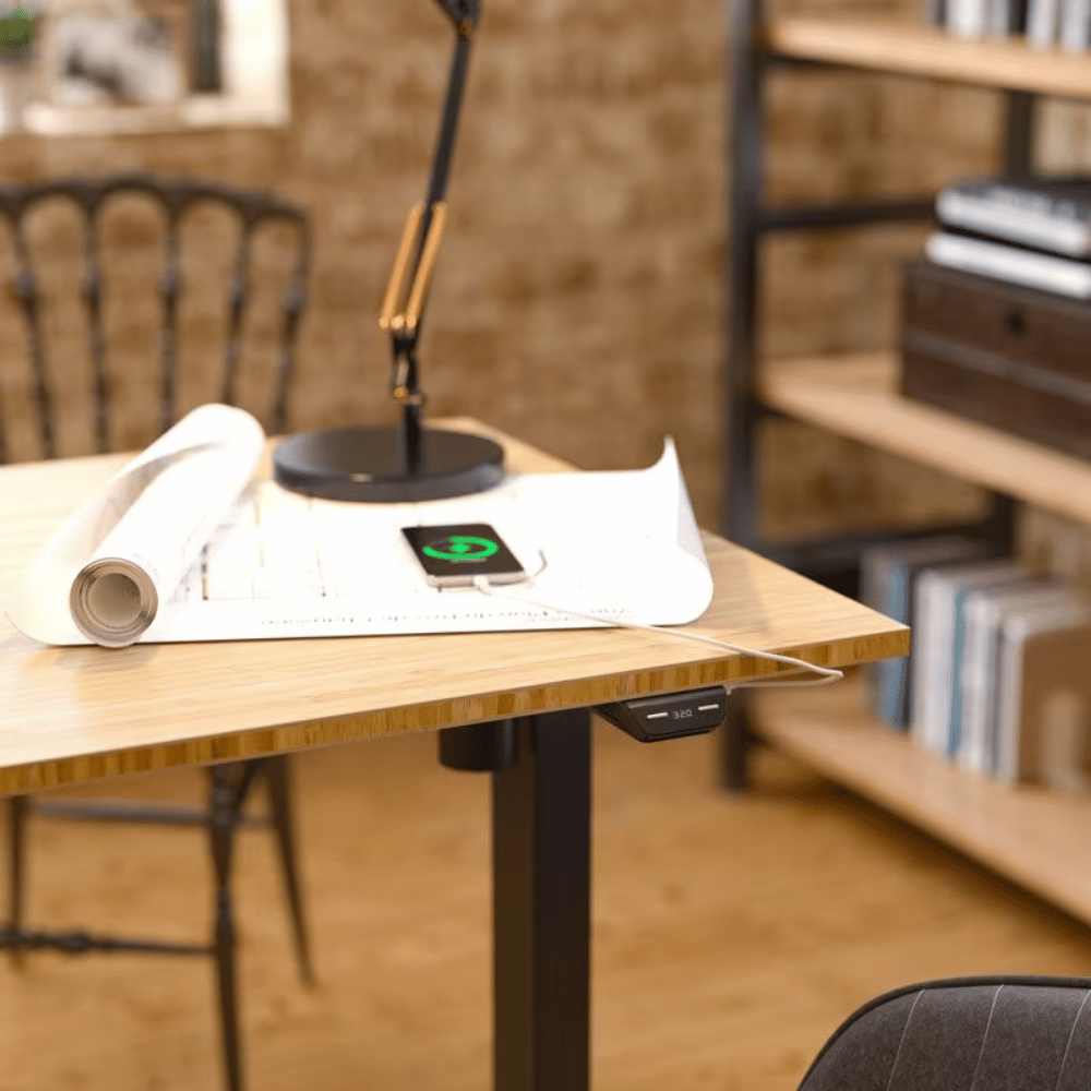 Flexispot E2 Single Motor Electric Standing Desk