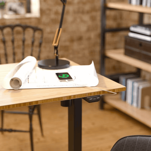 Flexispot E2 Single Motor Electric Standing Desk