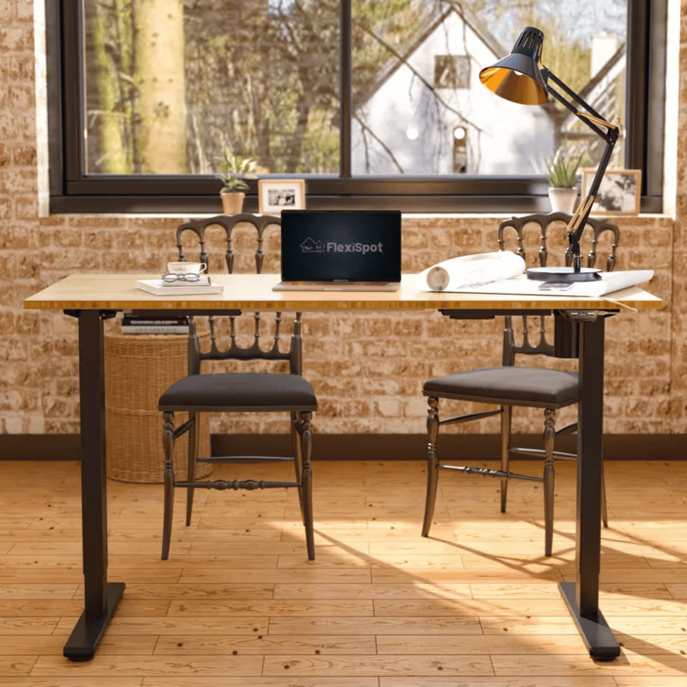 Flexispot E2 Single Motor Electric Standing Desk
