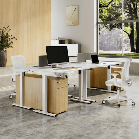 Flexispot E2 Single Motor Electric Standing Desk