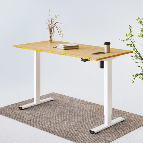 Flexispot E2 Single Motor Electric Standing Desk