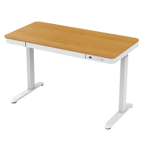 Flexispot E9W Electric Standing Desk with Drawer - Gavisco Premium Office Furniture