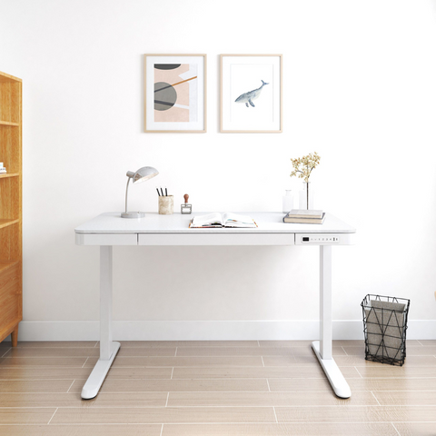 Flexispot E9W Electric Standing Desk with Drawer - Gavisco Premium Office Furniture