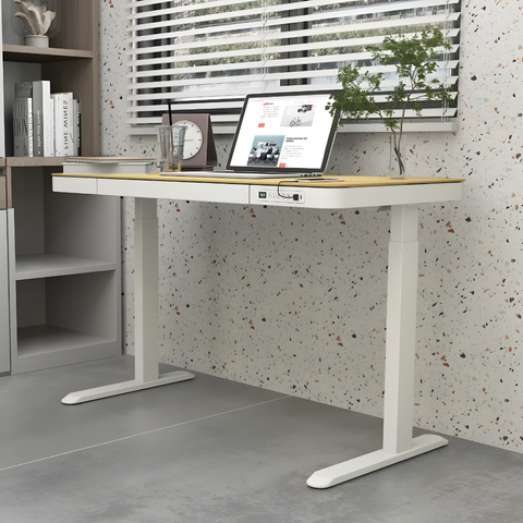 Flexispot E9W Electric Standing Desk with Drawer - Gavisco Premium Office Furniture