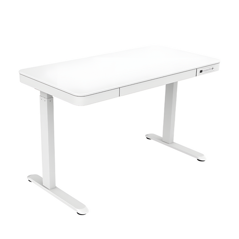 Flexispot E9W Electric Standing Desk with Drawer - Gavisco Premium Office Furniture