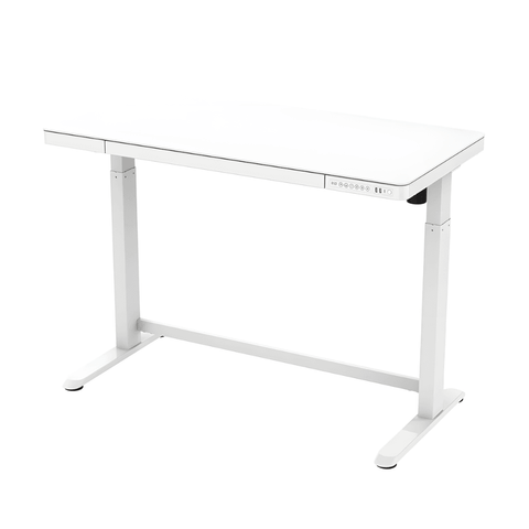 Flexispot ET118 Electric Standing Desk with Drawer - Gavisco Office Furniture