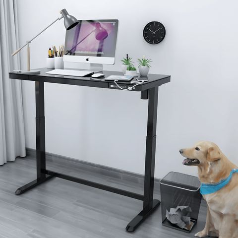 Flexispot ET118 Electric Standing Desk with Drawer - Gavisco Office Furniture