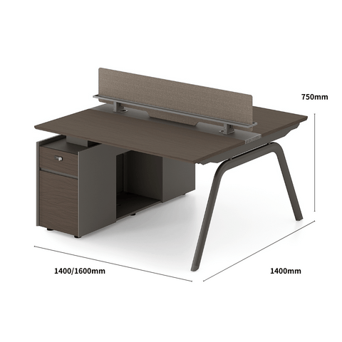 Galaxy-A Modern Metal Frame Office Desk Workstation with Storage Cabinet
