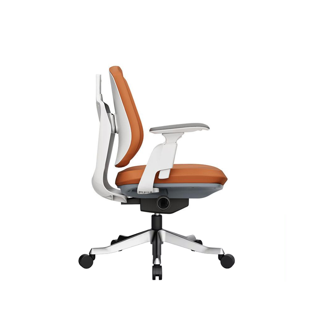 Twina-M Mid Back Double Back Ergonomic Office Chair - Gavisco Office Furniture