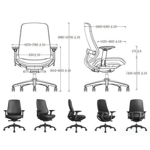 Knight-M Mid Back Advance Ergonomic Office Leather Conference Meeting Chair