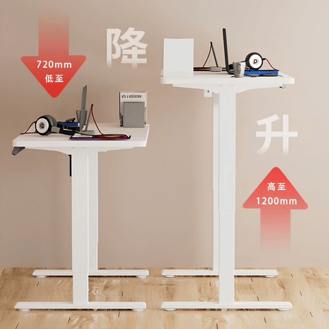 Lofty-F1 Electric Standing Desk