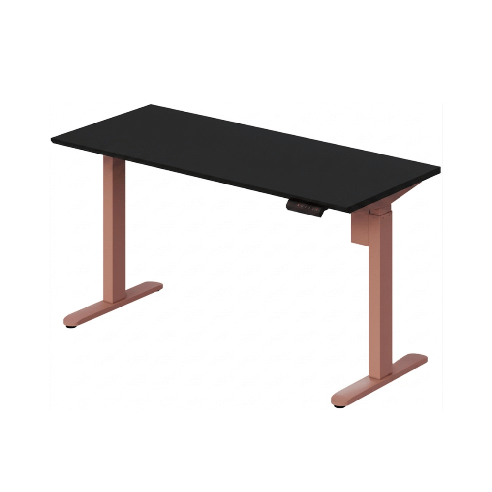 Lofty-F2 Electric Standing Desk
