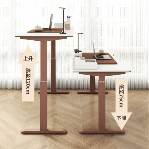 Lofty-F2 Electric Standing Desk