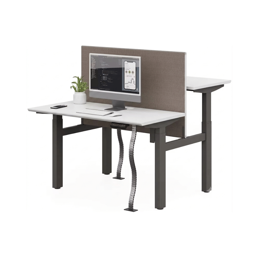 Lofty-F2Dual Double Sided Electric Standing Desk