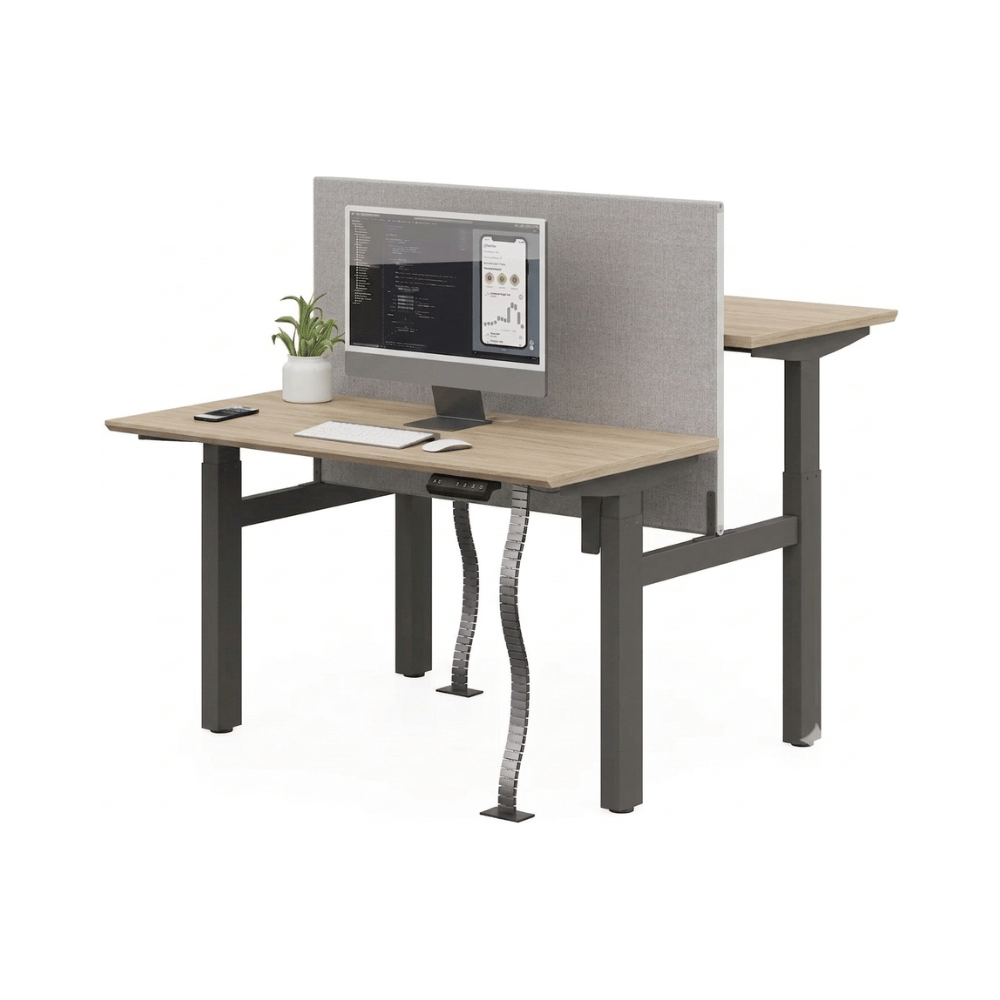 Lofty-F2Dual Double Sided Electric Standing Desk