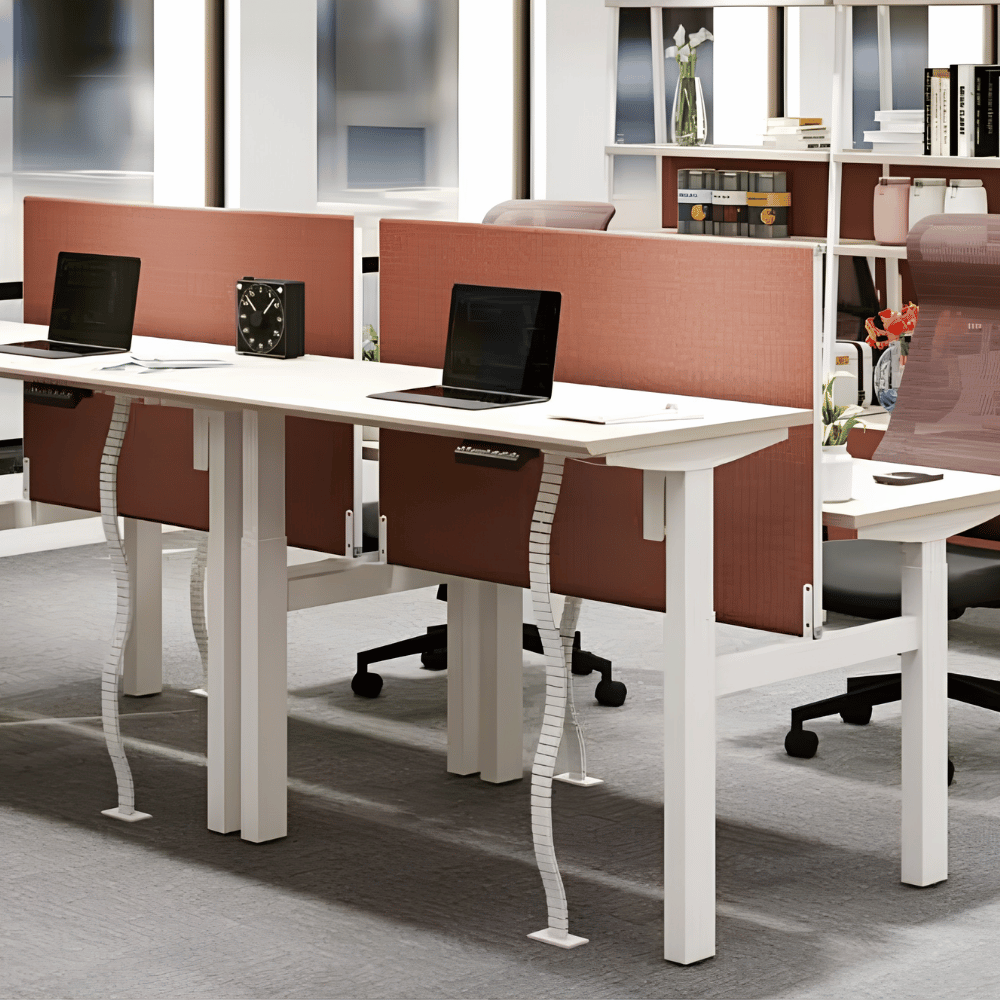 Lofty-F2Dual Double Sided Electric Standing Desk