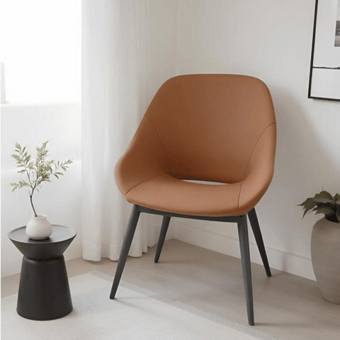 Mady Modern Accent Lounge Armchair