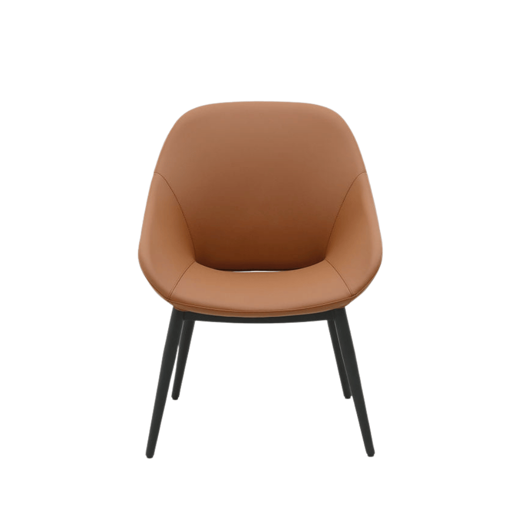Mady Modern Accent Lounge Armchair