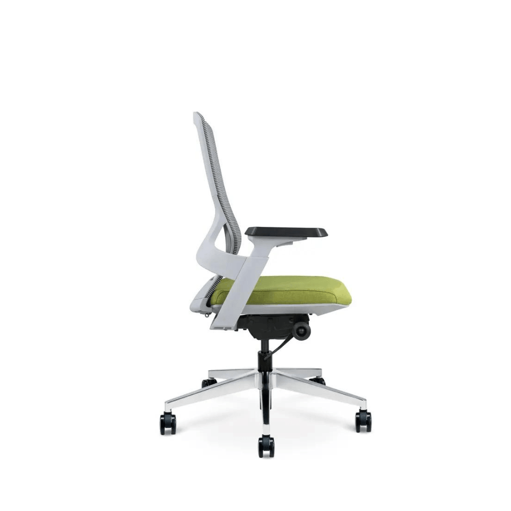 Mamba-M Mid Back Ergonomic Office Chair - Gavisco Office Furniture