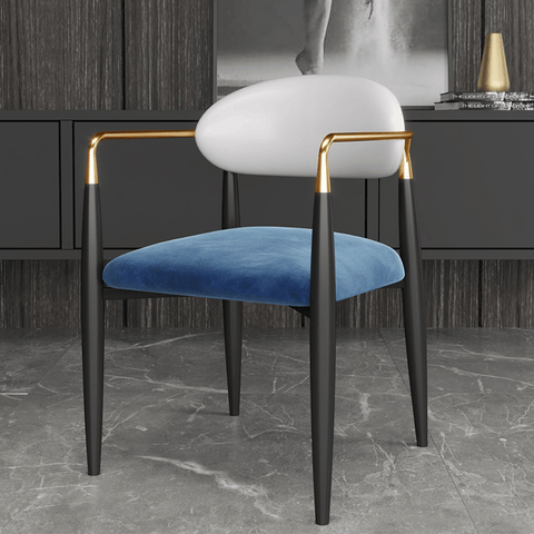 Modrest Buchtel Mid-Century Modern Dining Room Side Chair