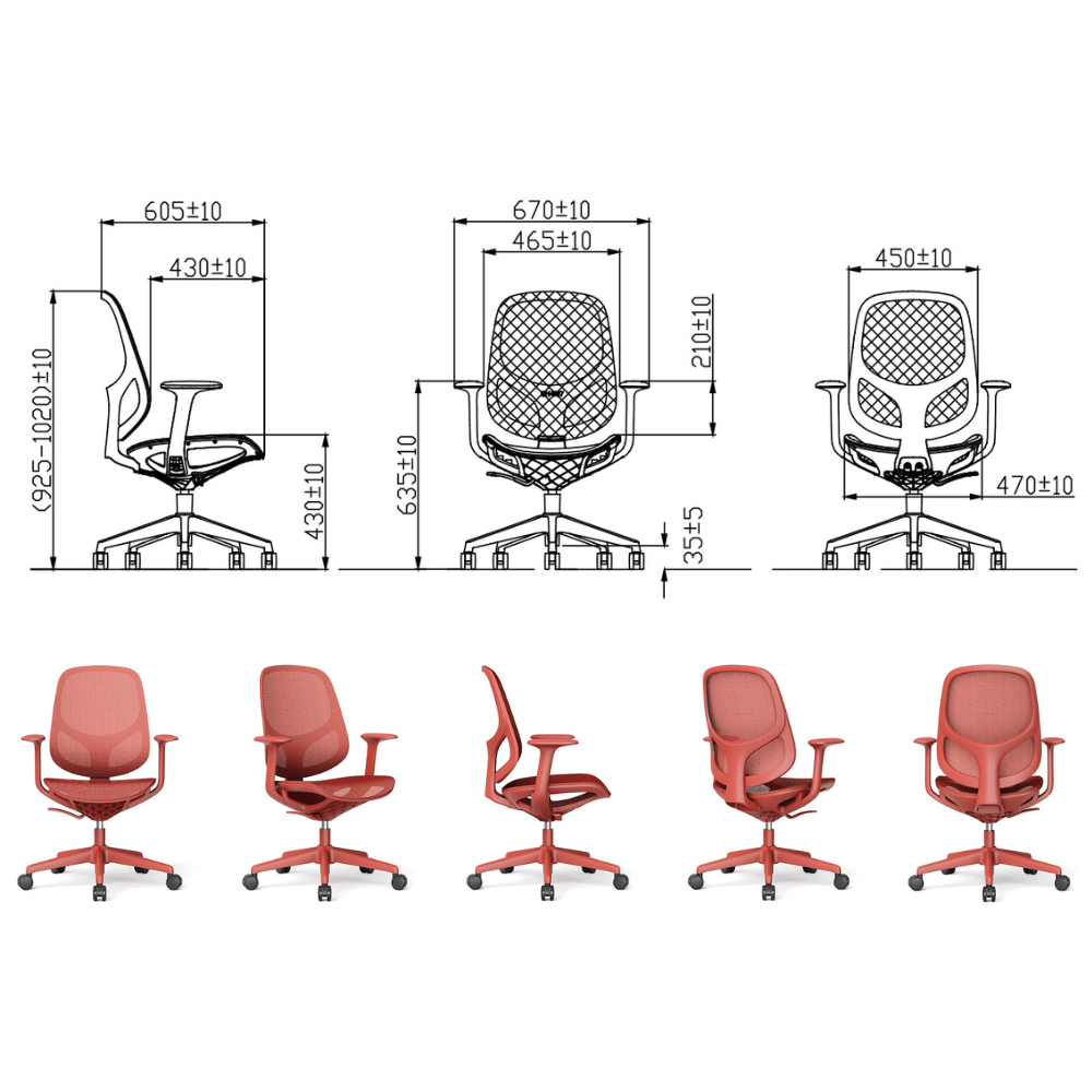 Oxygen Mid Back Mesh Ergonomic Office Chair