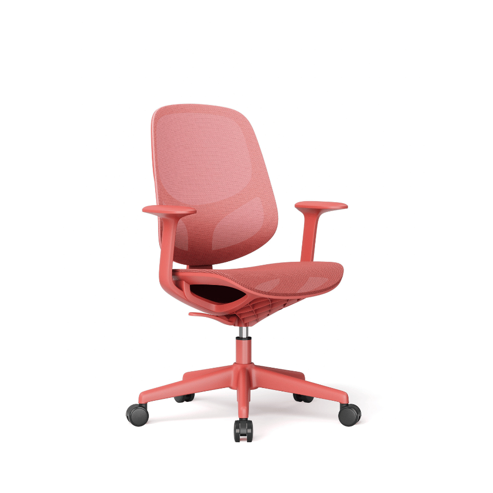 Oxygen Mid Back Mesh Ergonomic Office Chair