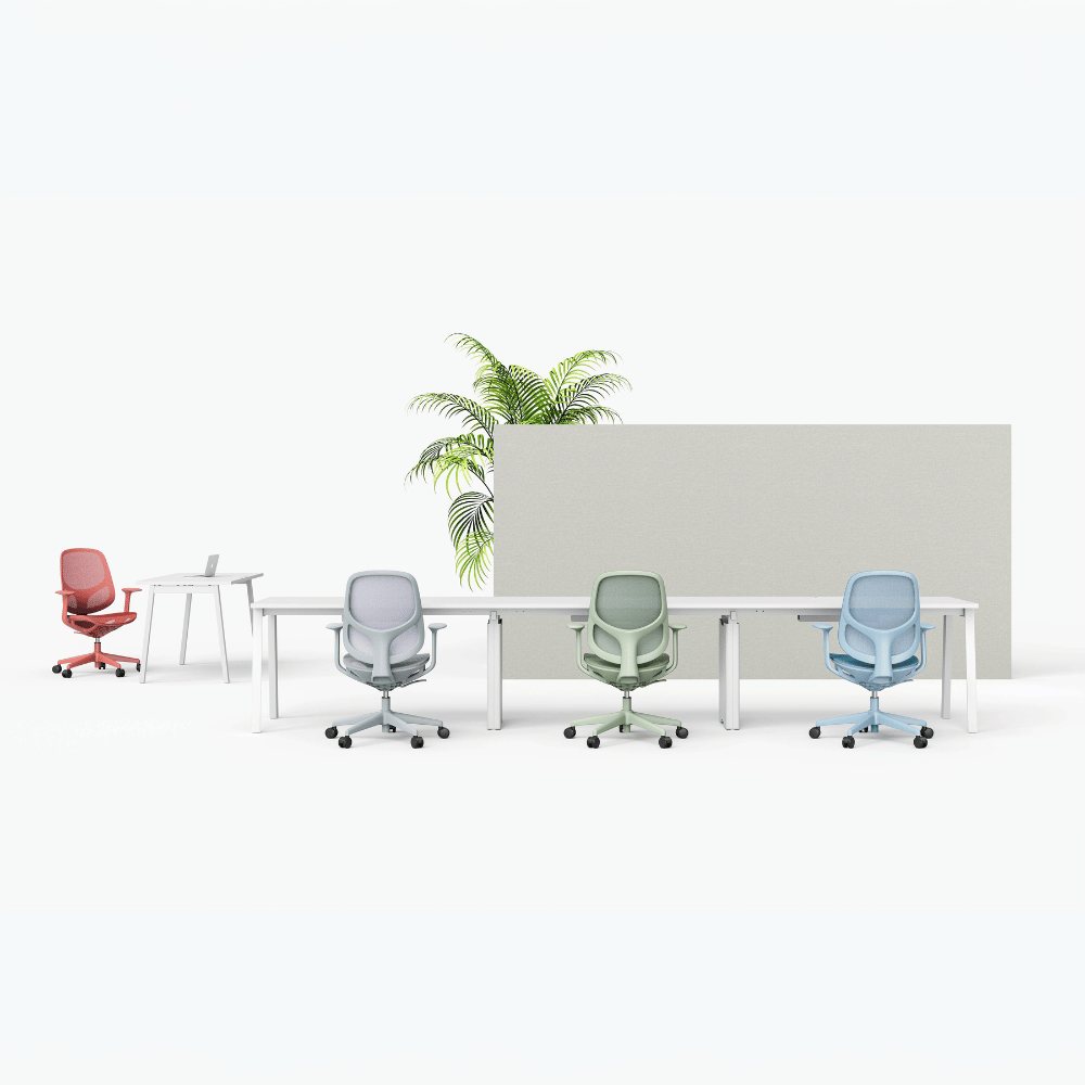 Oxygen Mid Back Mesh Ergonomic Office Chair