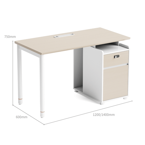 Pale-A Modern Office Workstation with Storage Cabinet