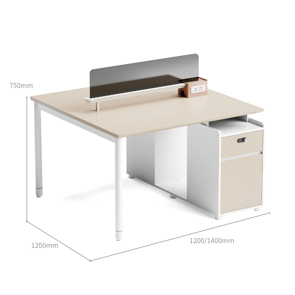 Pale-A Modern Office Workstation with Storage Cabinet