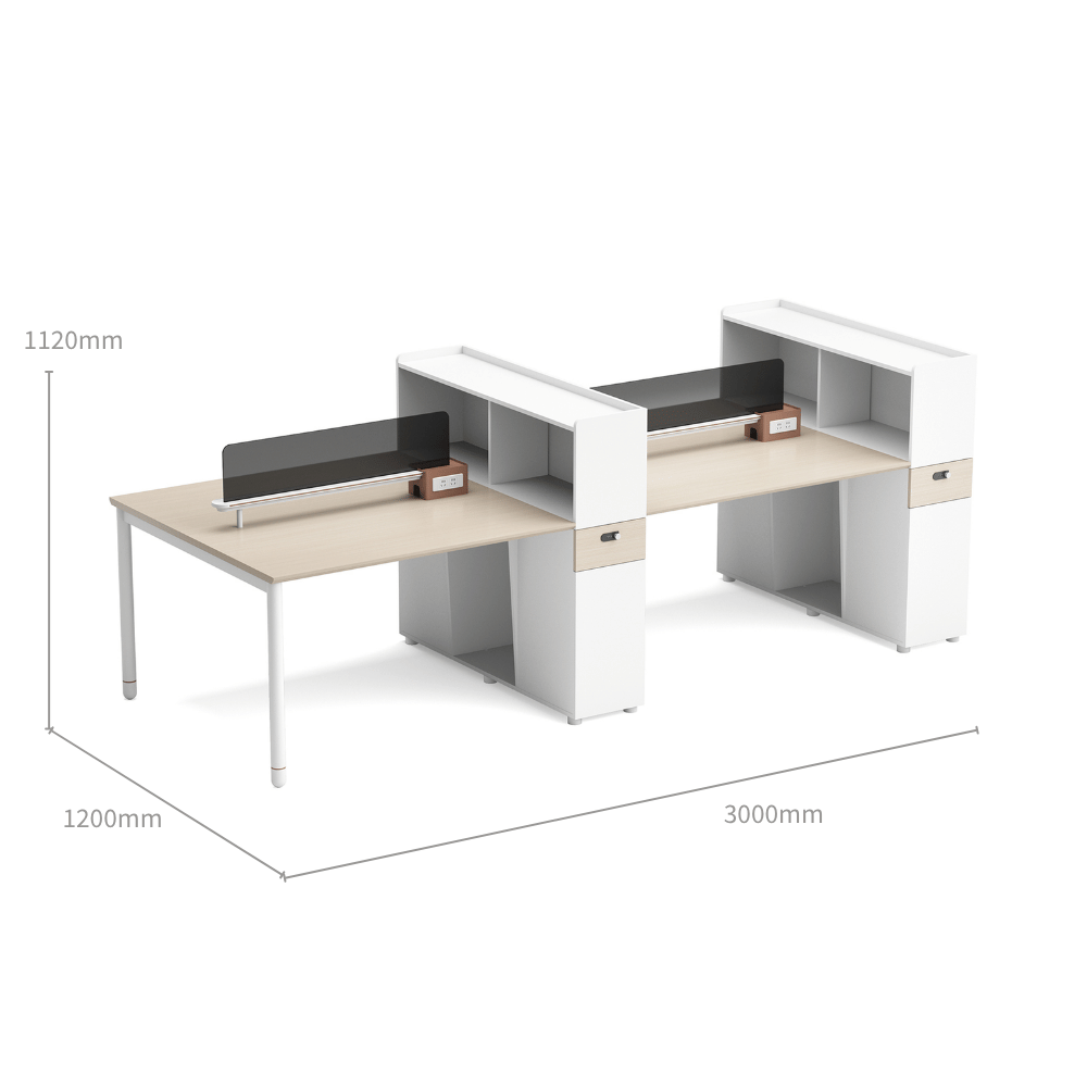 Pale-C Modern Office Workstation with Partition Cabinet