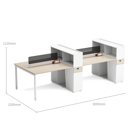 Pale-C Modern Office Workstation with Partition Cabinet