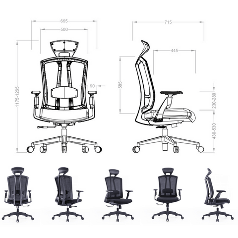 Pillar High Back Advance Ergonomic Office Chair