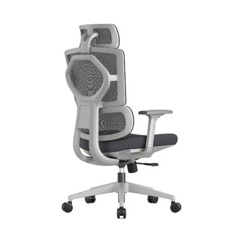 Pioneer High Back Ergonomic Office Chair