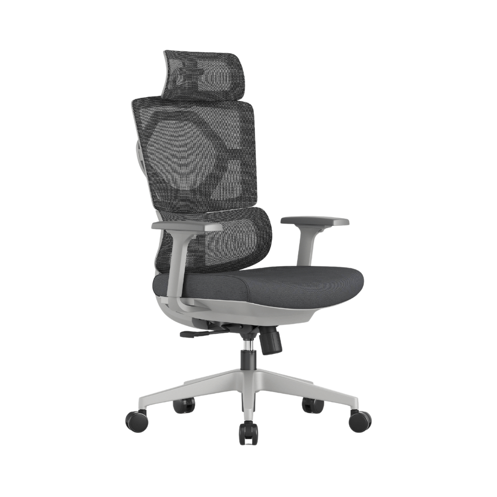 Pioneer High Back Ergonomic Office Chair