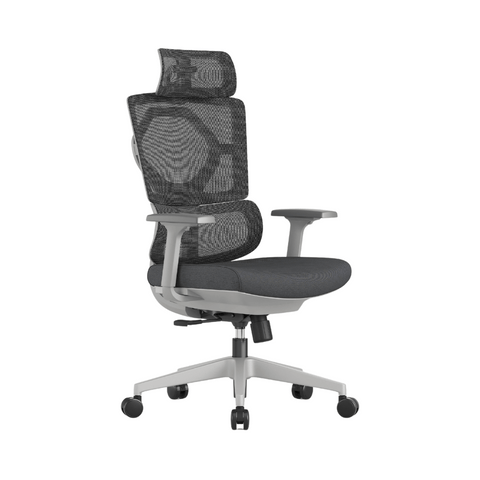 Pioneer High Back Ergonomic Office Chair