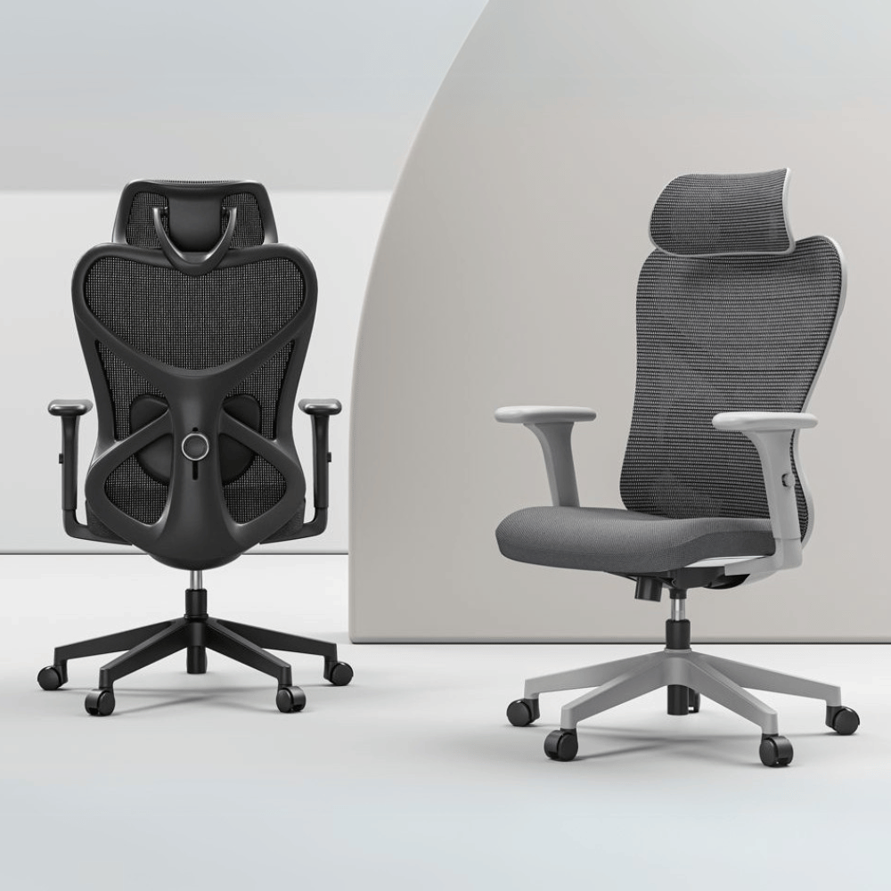 Pop-M Mid Back Ergonomic Office Chair