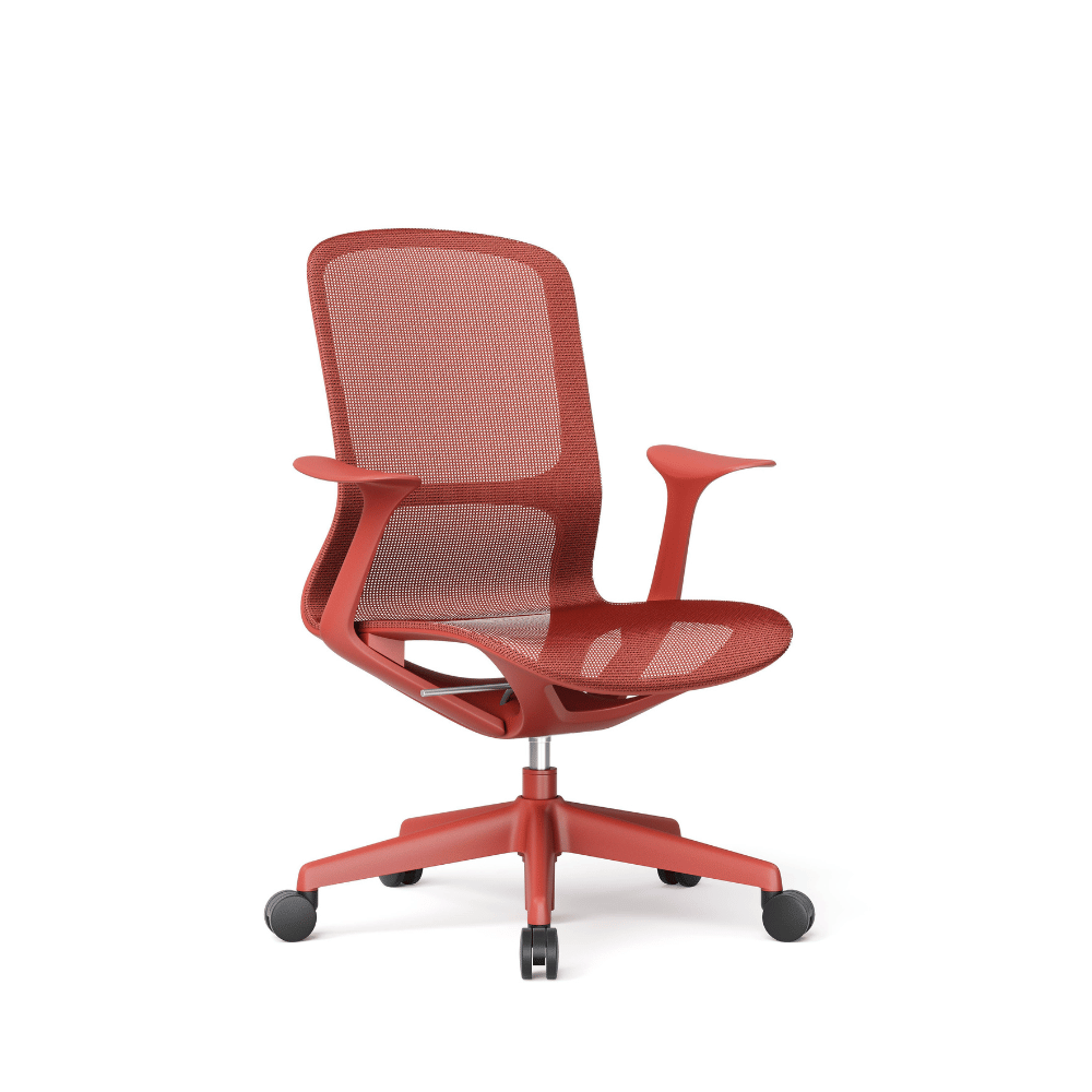 Rainbow Modern Mid Back Full Mesh Swivel Office Chair