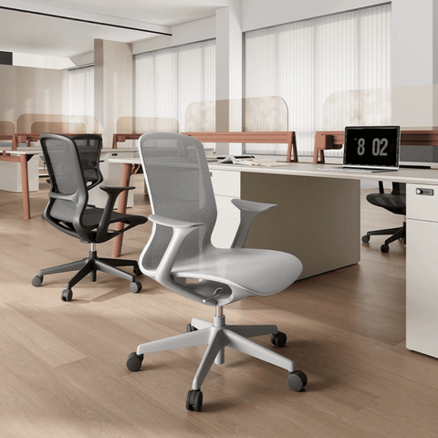 Rainbow Modern Mid Back Full Mesh Swivel Office Chair