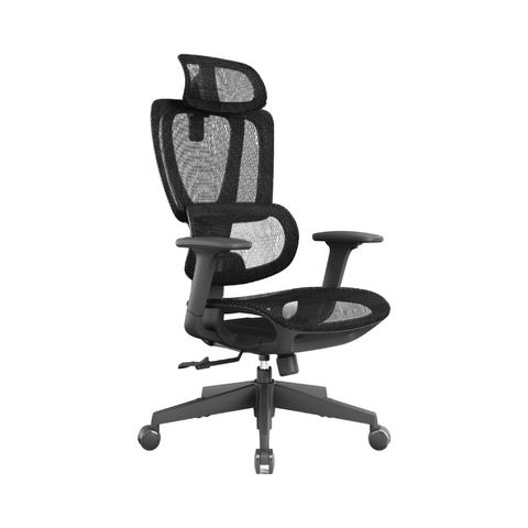 Richlea High Back Full Mesh Advance Ergonomic Office Chair