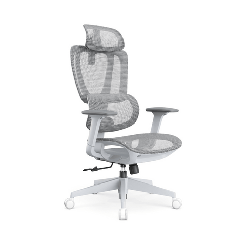 Richlea High Back Full Mesh Advance Ergonomic Office Chair