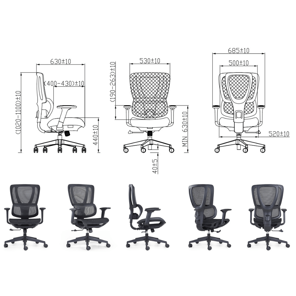 Richlea-M Mid Back Full Mesh Advance Ergonomic Office Chair
