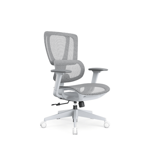 Richlea-M Mid Back Full Mesh Advance Ergonomic Office Chair