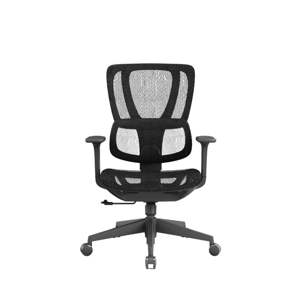 Richlea-M Mid Back Full Mesh Advance Ergonomic Office Chair