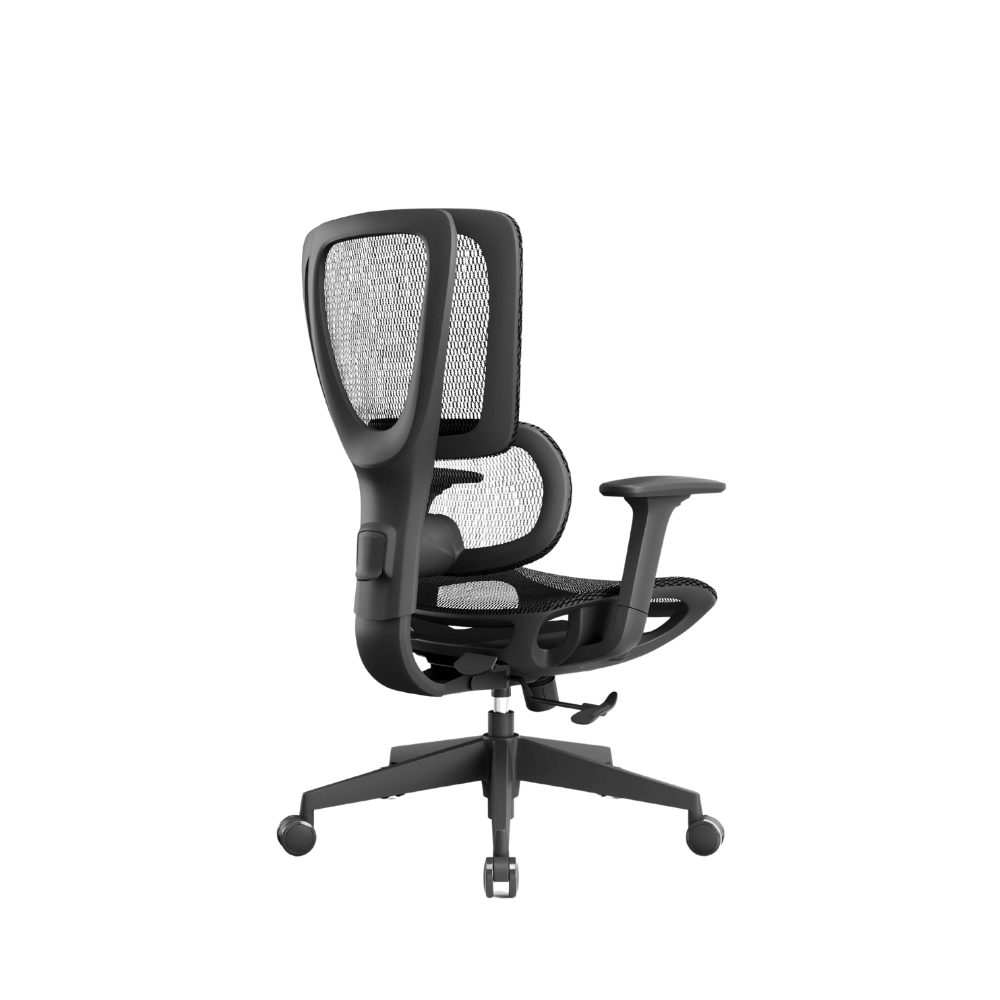 Richlea-M Mid Back Full Mesh Advance Ergonomic Office Chair