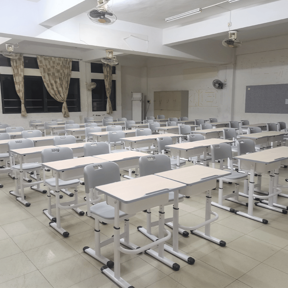 Frolic Adjustable Student Desk and Chair Set
